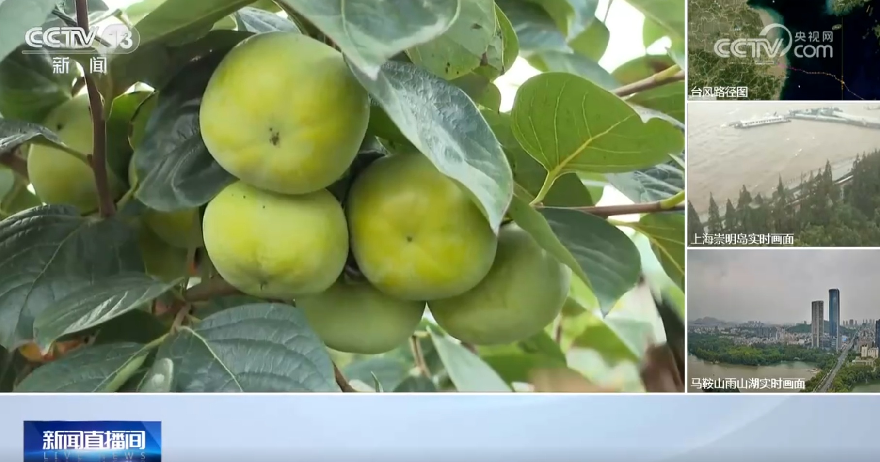 多方合力应对台风“贝碧嘉” 临时安置点物资充足“暖意融融”