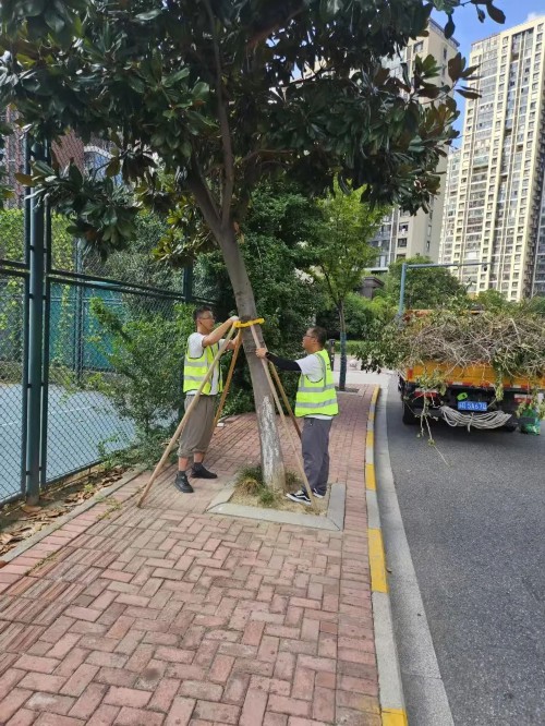 “贝碧嘉”成为75年来登陆上海最强台风！下午进入江苏！严阵以待，守护平安！