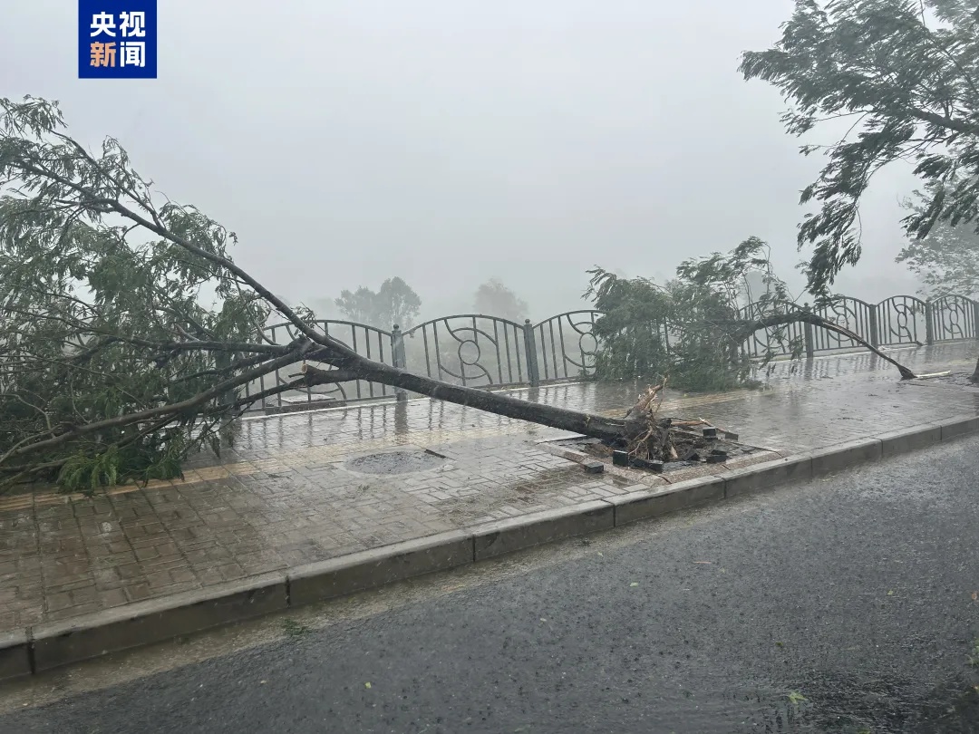 “贝碧嘉”已登陆，深圳这些列车、航班受影响！又有新台风生成→