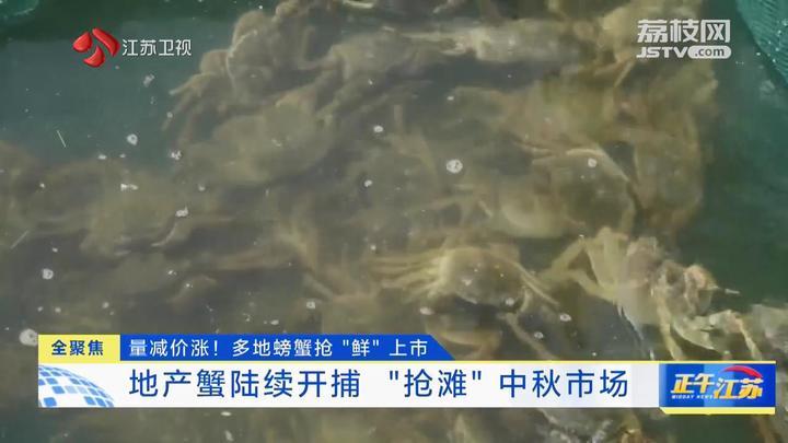 全聚焦│量减价涨！江苏多地螃蟹抢“鲜”上市