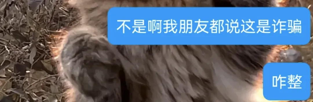 民警深夜上门！浙江女子惊呆，竟然是闺蜜报警了