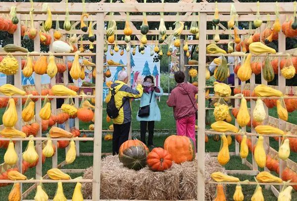 什么！这是灯？又被咱中华美学惊艳了！