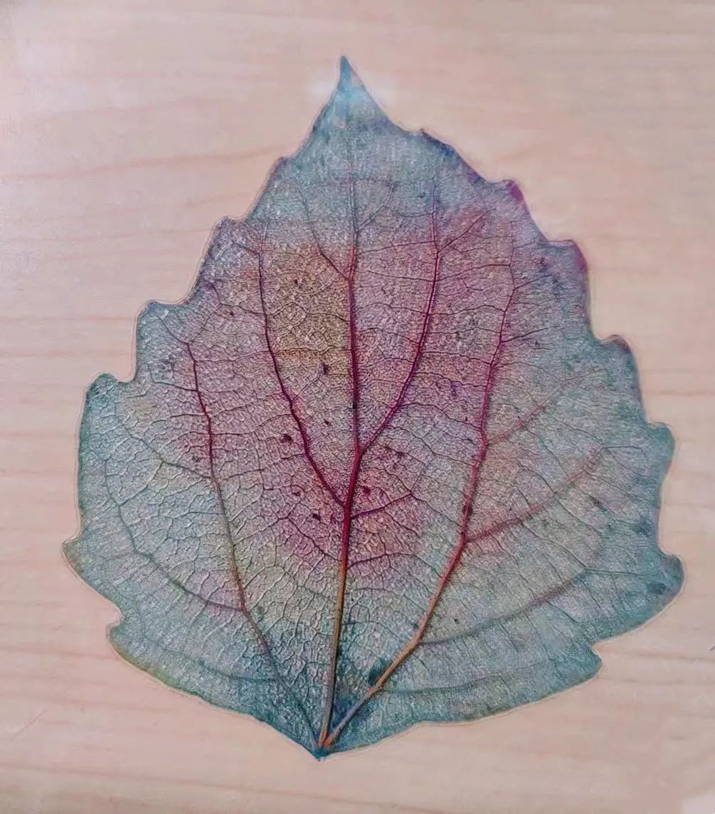 实验室里做月饼?!“报告!羡慕的泪水从嘴角流了出来……” 实验室里做月饼?!“报告!羡慕的泪水从嘴角流了出来……”