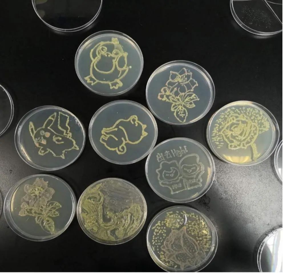 实验室里做月饼?!“报告!羡慕的泪水从嘴角流了出来……” 实验室里做月饼?!“报告!羡慕的泪水从嘴角流了出来……”