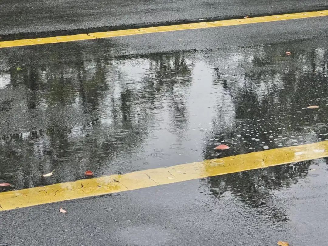 “贝碧嘉”仍在安徽！阜阳正在下雨！部分高速入口封闭