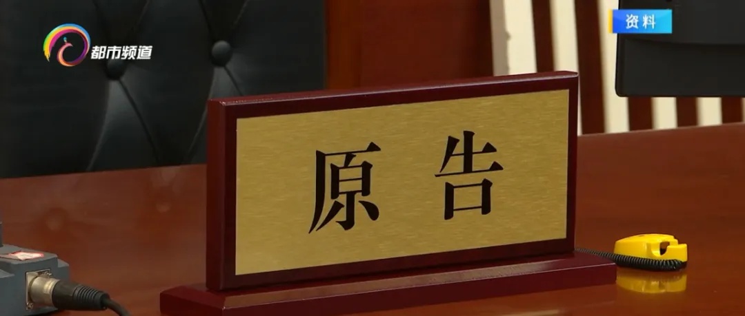 未拴绳宠物狗被撞  责任谁来担？
