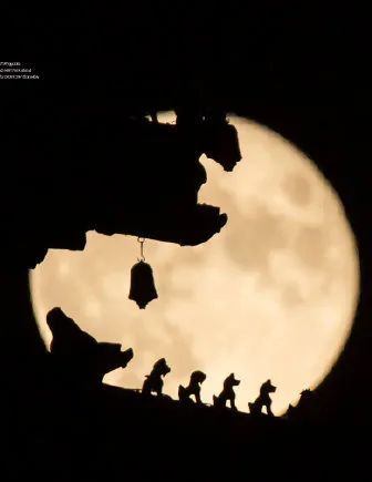 台风又来了!“普拉桑”即将影响江苏,风雨解读请看→ 台风又来了!“普拉桑”即将影响江苏,风雨解读请看→