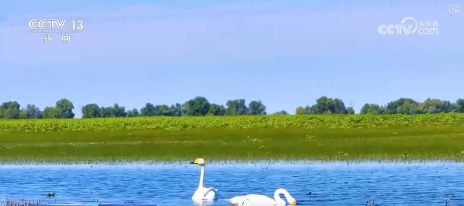 寻景中秋，且喜人间好时节！看丰收、赏美景、窥古今