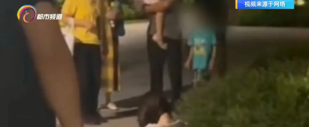 未拴绳宠物狗被撞  责任谁来担？