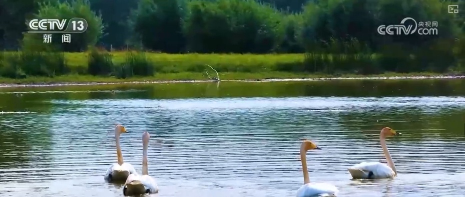 寻景中秋，且喜人间好时节！看丰收、赏美景、窥古今