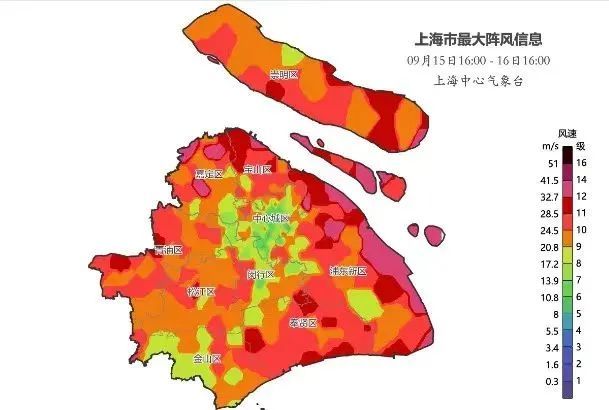 个头小实力强，“贝碧嘉”是怎么炼成狠角色的