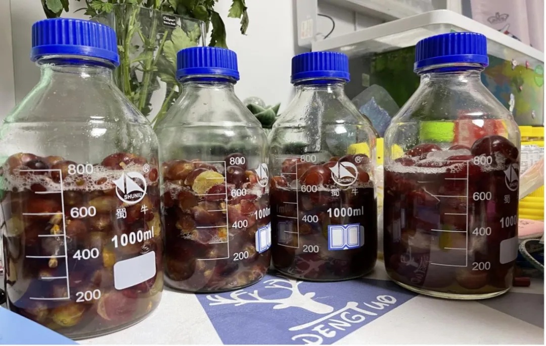 大学生用实验室做月饼?看到最后,全是“好小众的文字” 大学生用实验室做月饼?看到最后,全是“好小众的文字”