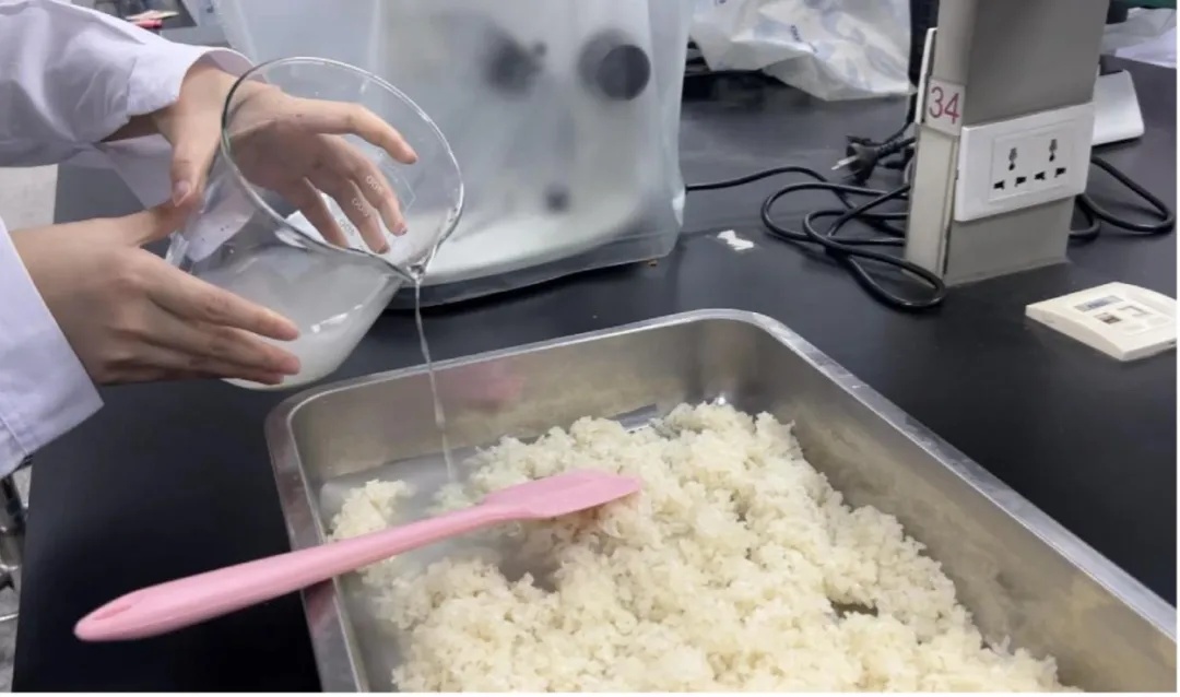 大学生用实验室做月饼?看到最后,全是“好小众的文字” 大学生用实验室做月饼?看到最后,全是“好小众的文字”