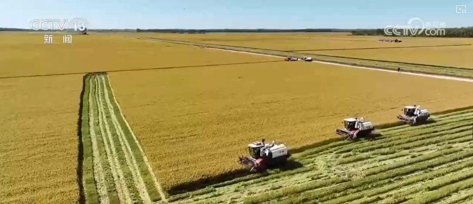 寻景中秋，且喜人间好时节！看丰收、赏美景、窥古今