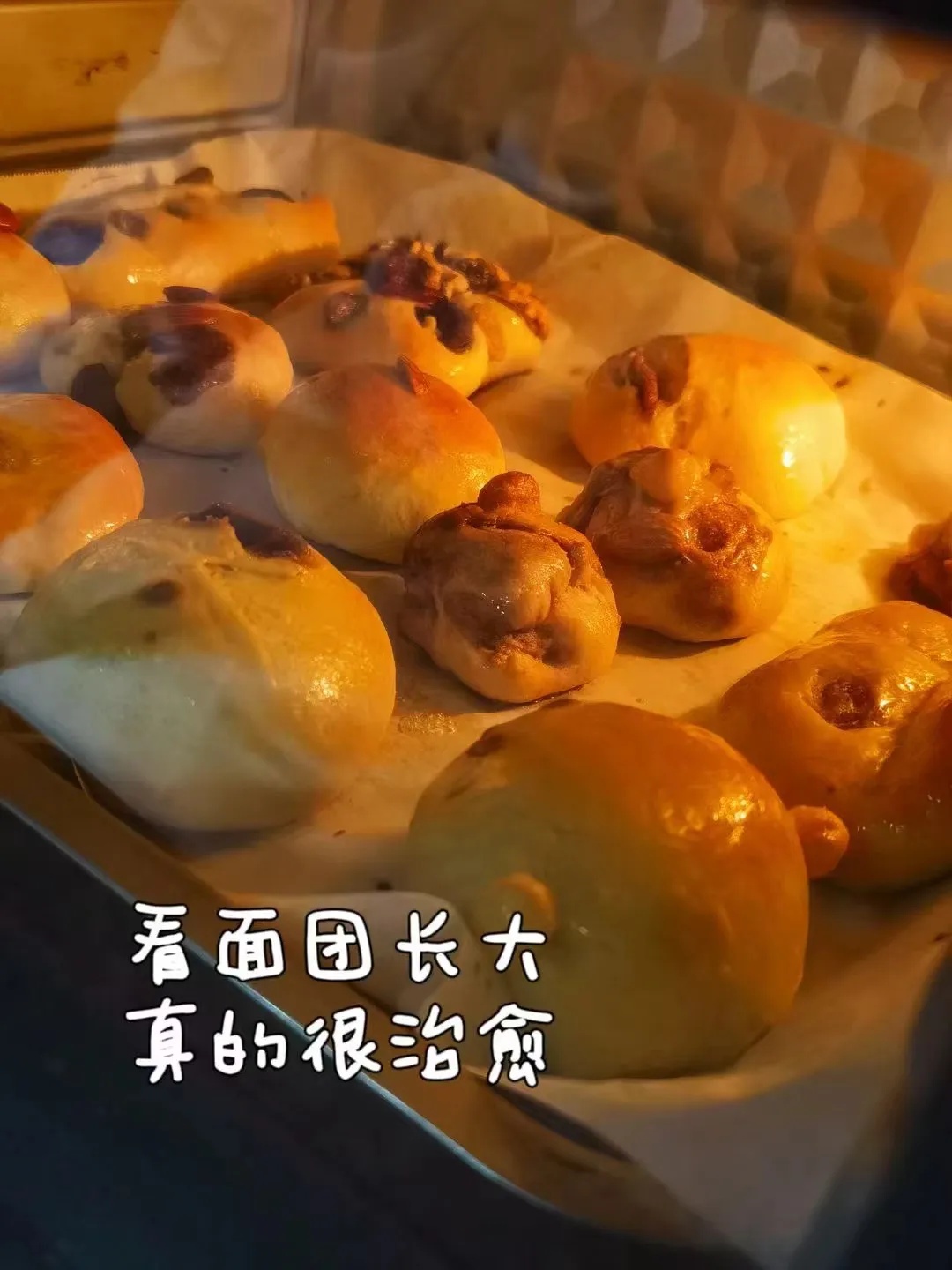 大学生用实验室做月饼?看到最后,全是“好小众的文字” 大学生用实验室做月饼?看到最后,全是“好小众的文字”