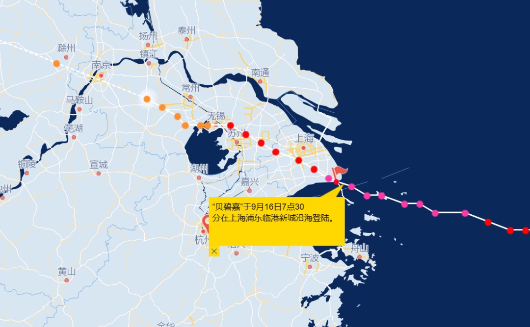 个头小实力强，“贝碧嘉”是怎么炼成狠角色的