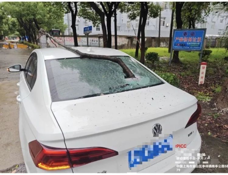 “贝碧嘉”走了，台风过后应该注意什么？