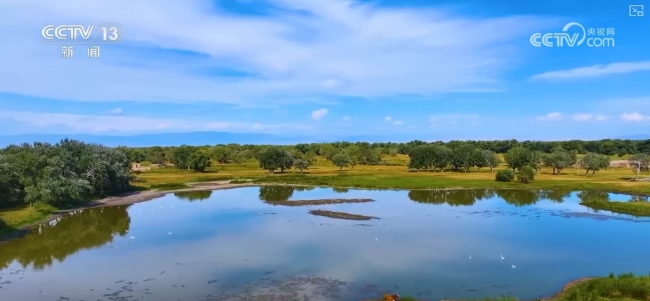 寻景中秋，且喜人间好时节！看丰收、赏美景、窥古今