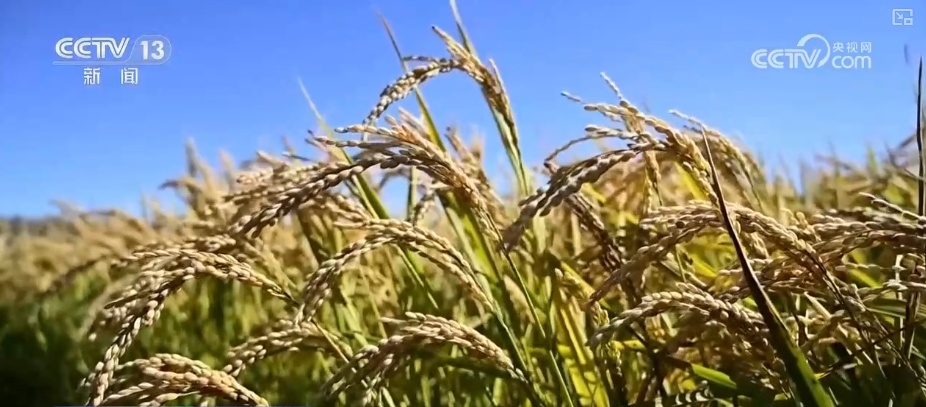 寻景中秋，且喜人间好时节！看丰收、赏美景、窥古今