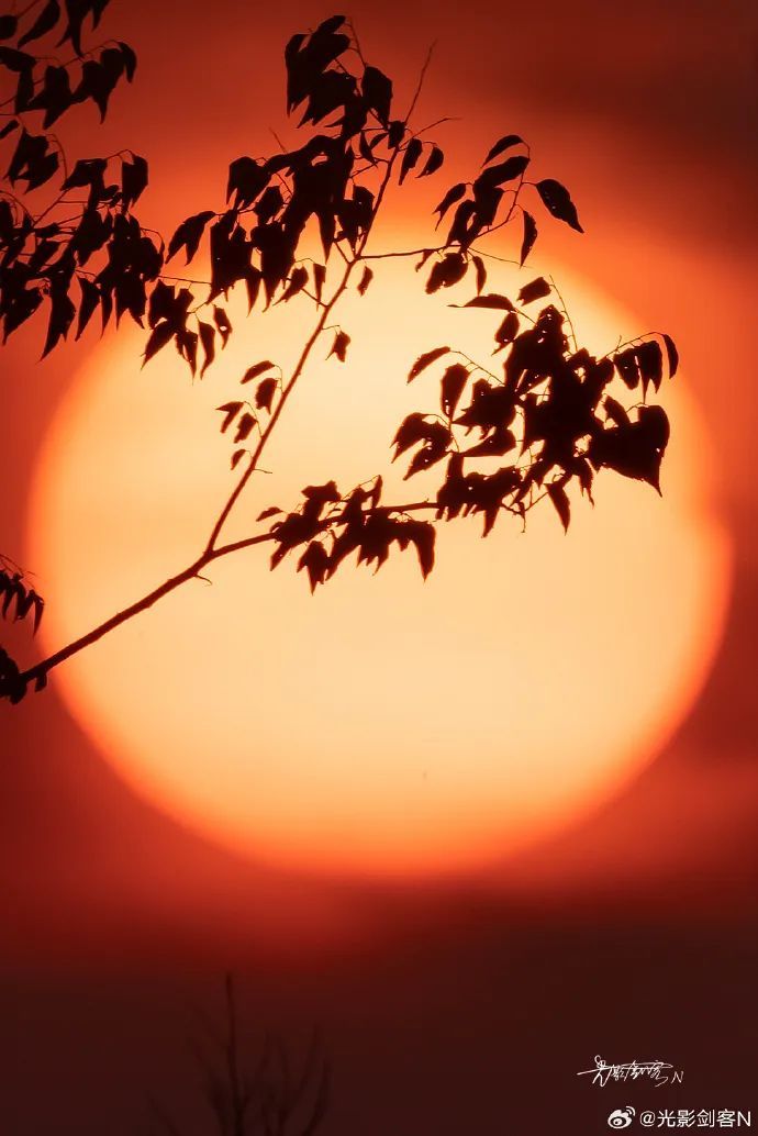台风又来了!“普拉桑”即将影响江苏,风雨解读请看→ 台风又来了!“普拉桑”即将影响江苏,风雨解读请看→