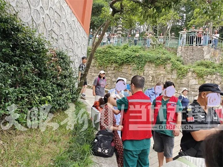 黔灵山公园猴子抢包致人摔伤？公园管理处回应