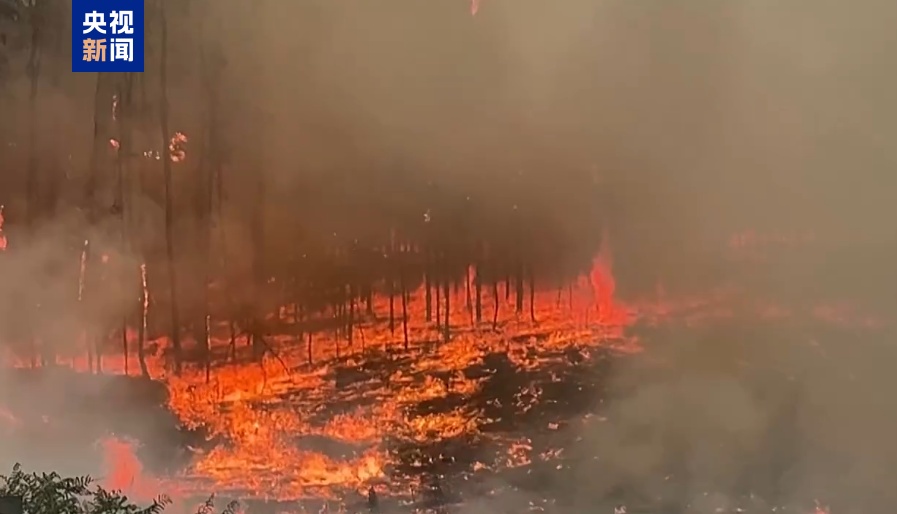 葡萄牙中部和北部山火肆虐 已致7人死亡