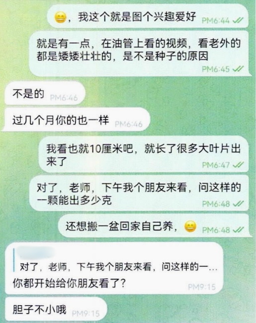 植物怜爱者在线“开班”，课程竟是进修他东说念主栽种大麻……