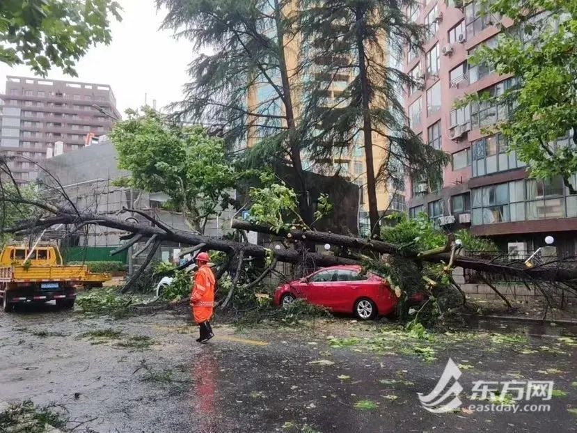 @统共车主，台风再度来袭！车辆被树木或陨落物砸坏，谁来担责？保费加多若何办？