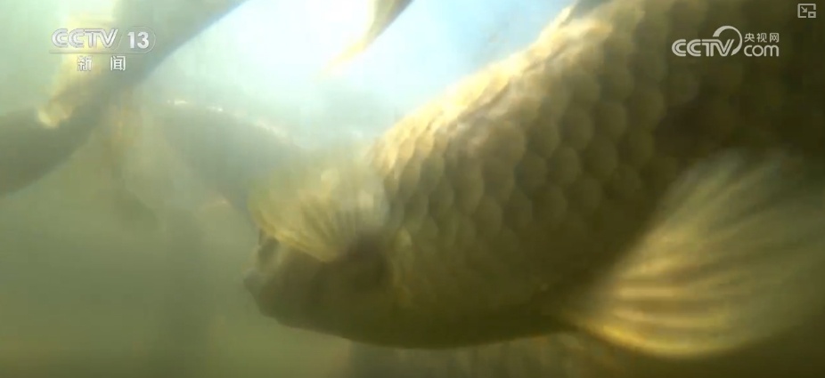 潮涌风帆劲 续写“新”江河故事