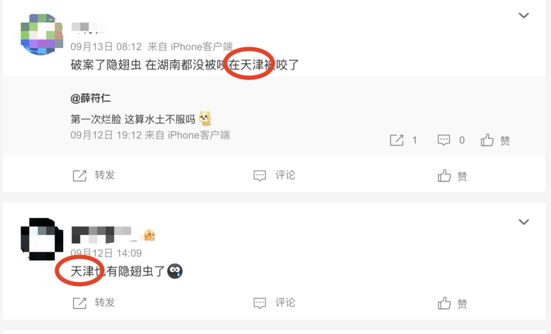 天津出现隐翅虫!毒液堪比硫酸!千万不能用手拍! 天津出现隐翅虫!毒液堪比硫酸!千万不能用手拍!