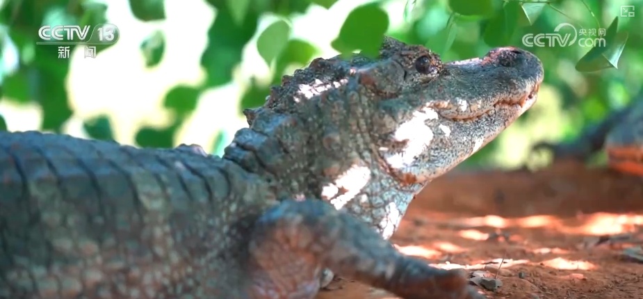 潮涌风帆劲 续写“新”江河故事