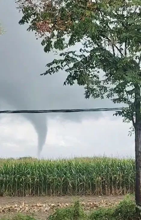 江苏睢宁出现龙卷风,当地气象台:无人员伤亡,财产损失较小 江苏睢宁出现龙卷风,当地气象台:无人员伤亡,财产损失较小