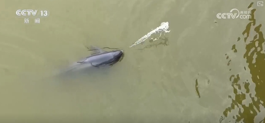 潮涌风帆劲 续写“新”江河故事