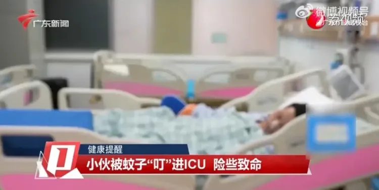 被蚊“叮”一口，20岁小伙四肢抽搐住进ICU！医生提醒：别熬夜