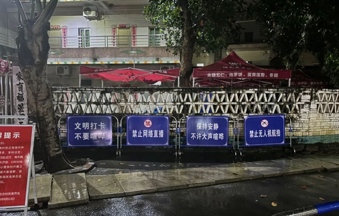 谁在围观全红婵