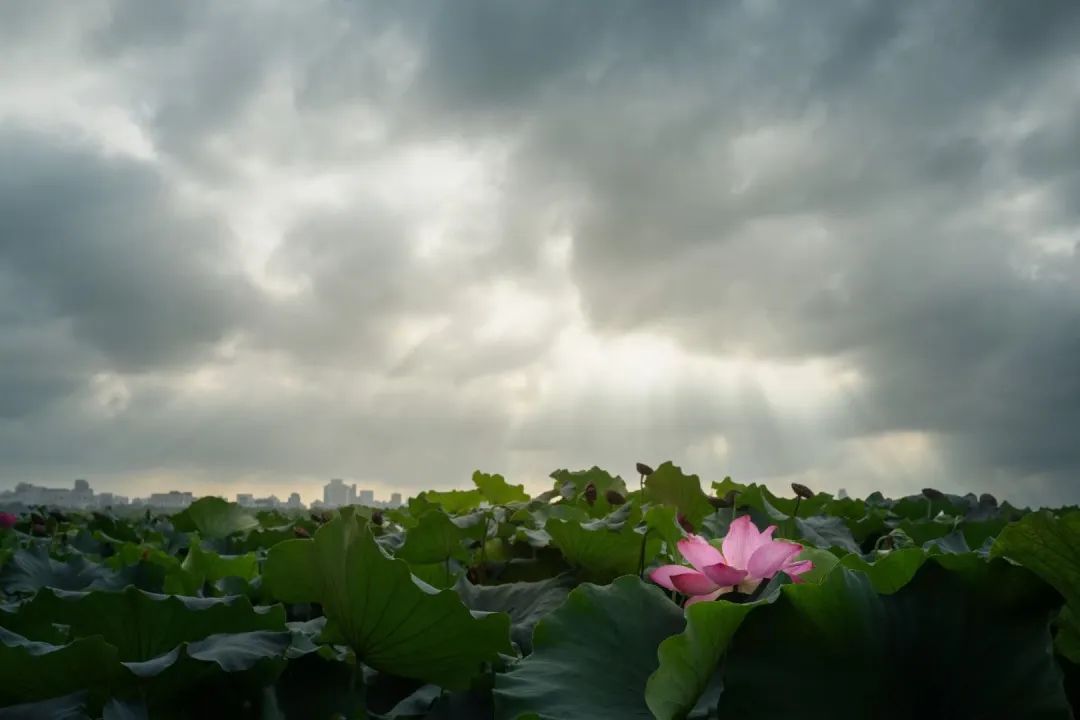 进入24小时警戒线！“普拉桑”登陆点又变了！杭州最新确认：取消、停运、禁入