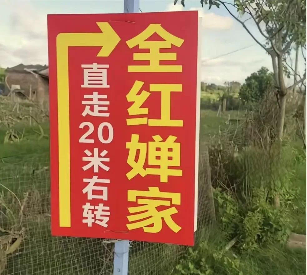 谁在围观全红婵