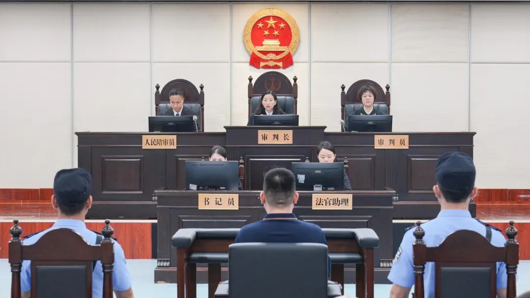 全国首例,走私巴西龟被判刑 全国首例,走私巴西龟被判刑