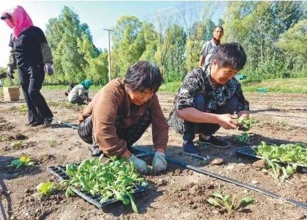 一天一个样！葫芦岛灾后重建最新消息