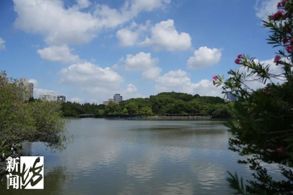 定了！上海知名地标即将“大修”！很多人的儿时记忆在这里