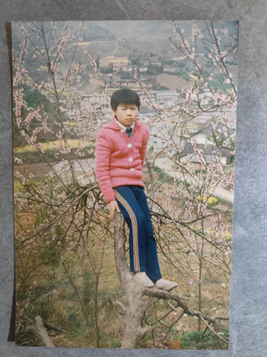 她来大学报到时,先到舅舅的雕像前深鞠躬 她来大学报到时,先到舅舅的雕像前深鞠躬