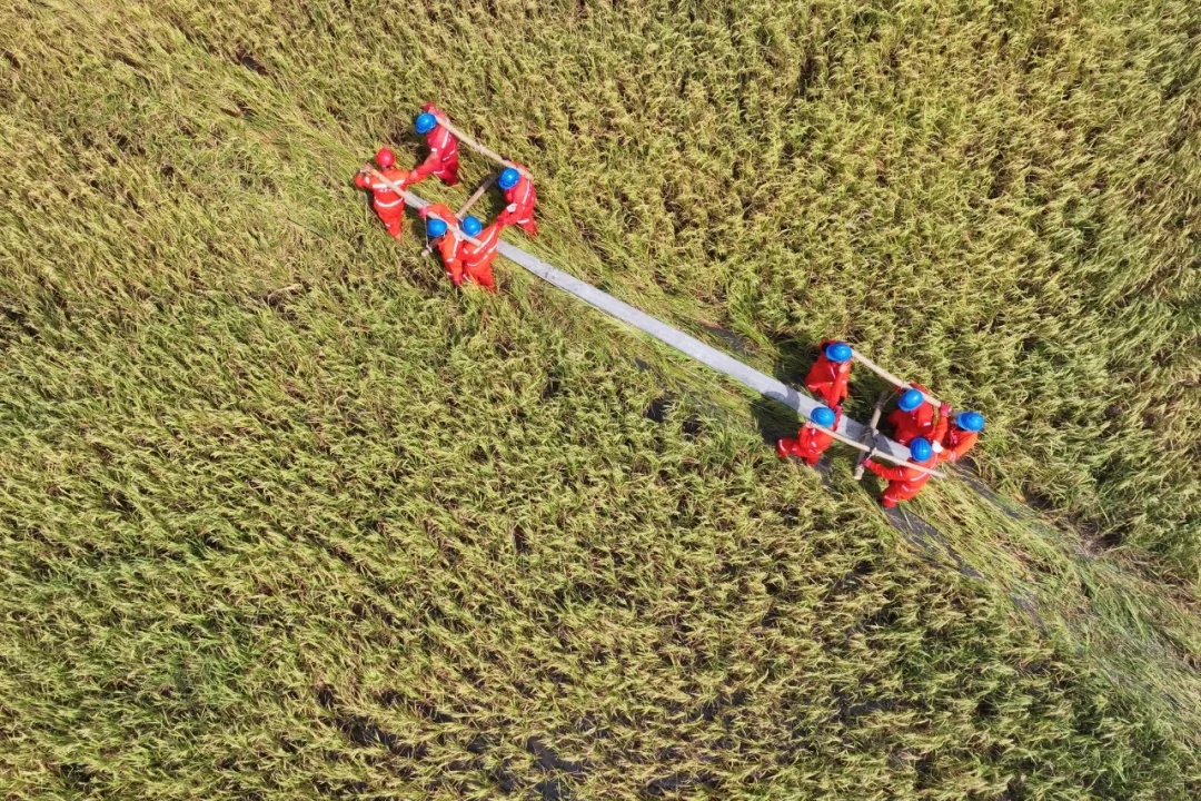 抢修复电为什么这么难?多图直击现场 抢修复电为什么这么难?多图直击现场