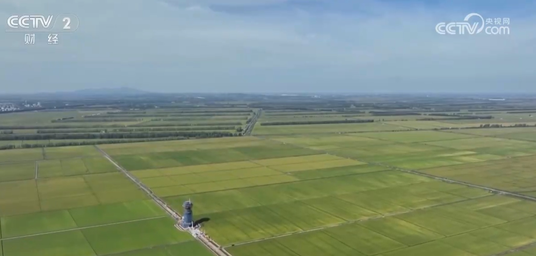 春华秋实岁物丰成 我国秋粮大面积收获“时间表”发布 春华秋实岁物丰成 我国秋粮大面积收获“时间表”发布