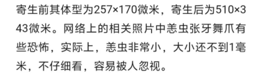 杭州男子被小虫叮咬，只因妻子一个动作，高烧不退！老鼠竟是最主要传播宿主……
