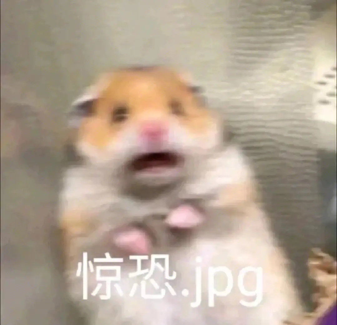 刚刚,暴雨!雷电!天都变色了!冷空气马上就到浙江... 刚刚,暴雨!雷电!天都变色了!冷空气马上就到浙江...