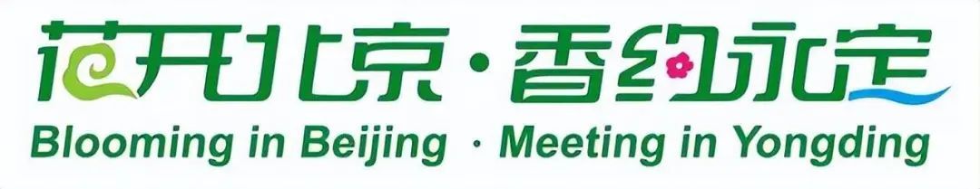 40年来首次落地中国！第九届国际月季大会明年5月“香约永定”