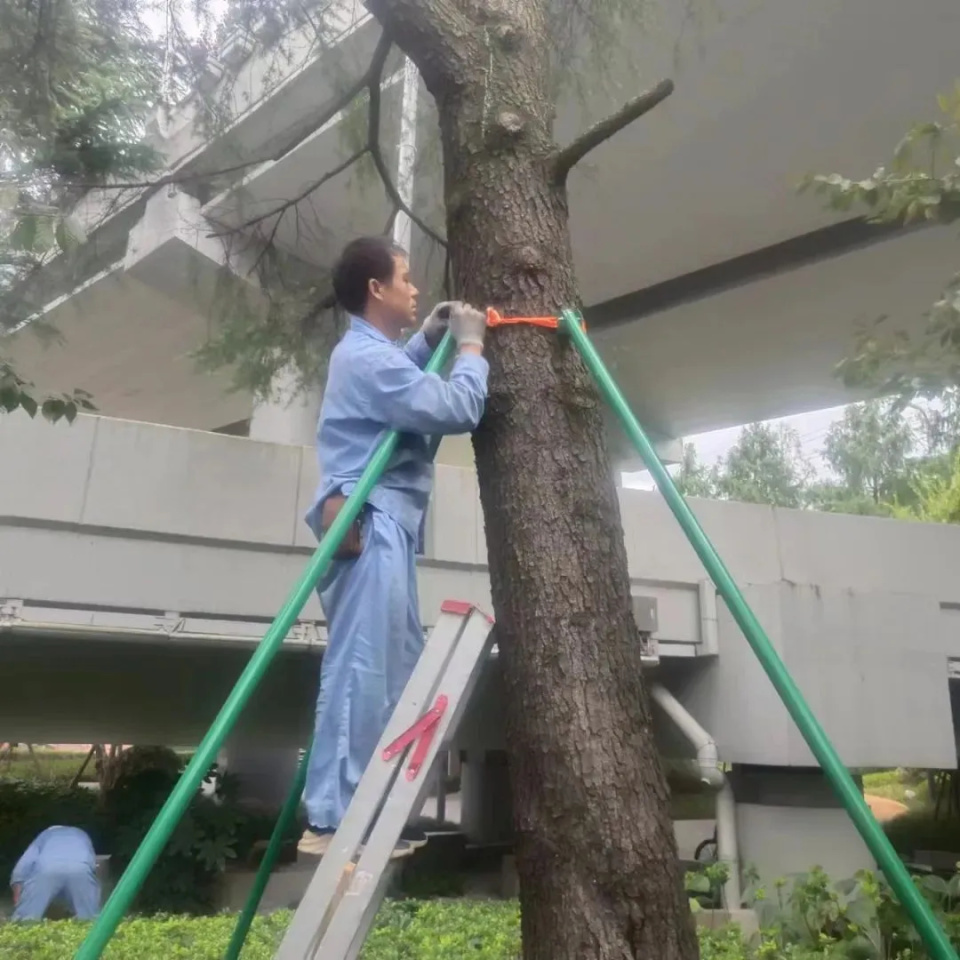 上海浦东、奉贤破降雨历史纪录！暴雨致积水严重，334所学校停课！紧急提醒