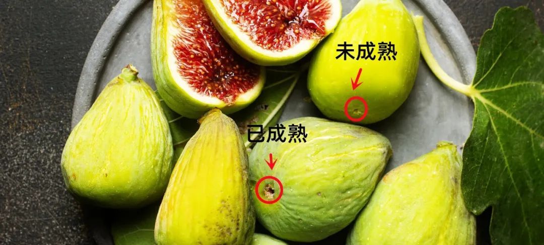 这个“排毒水果”，是身体的大救星！清肺、清肠、清肝，9月遇到别错过