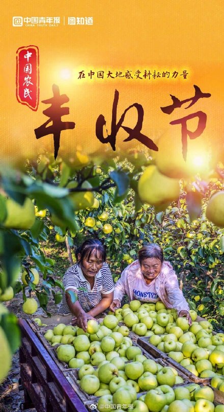 中国农民丰收节：晒晒中国大地好“丰”景