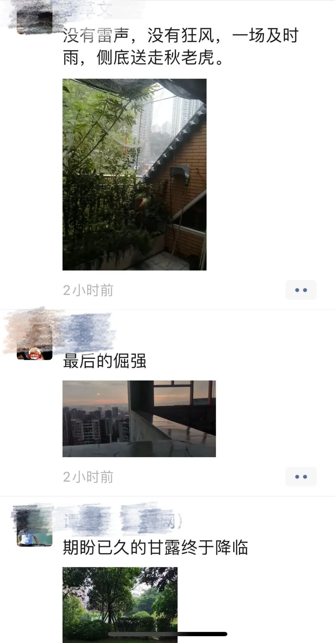 下雨了!“退烧”了!重庆网友:好想出去冲个凉! 下雨了!“退烧”了!重庆网友:好想出去冲个凉!